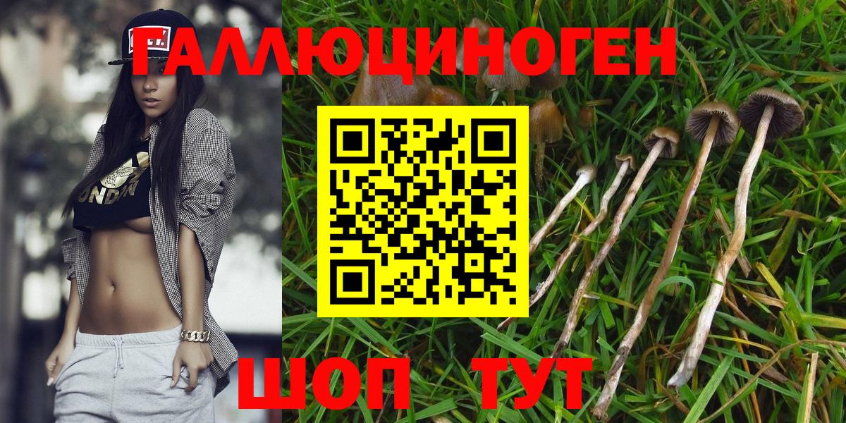 Туймазы  Псилоцибиновые грибы Psilocybe  цена   Вход с VPN  Псилоцибиновые грибы мицелий 