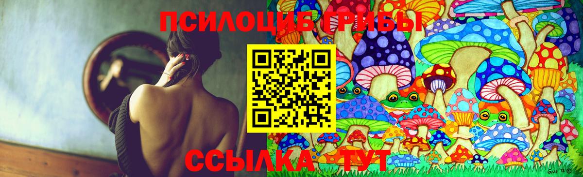 Псилоцибиновые грибы Psilocybine cubensis Туймазы